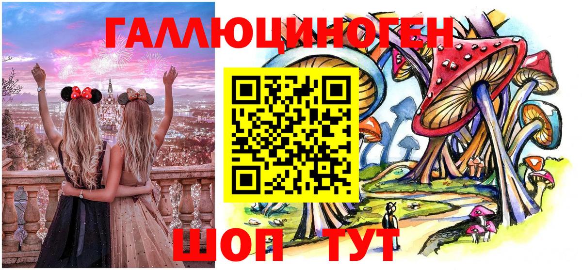 Псилоцибиновые грибы Psilocybine cubensis Коряжма