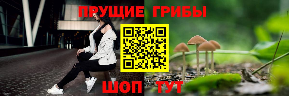 Псилоцибиновые грибы MAGIC MUSHROOMS  Галлюциногенные грибы GOLDEN TEACHER  Вход с VPN  Коряжма 